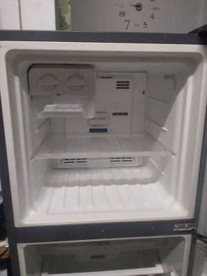 Electrolux double door