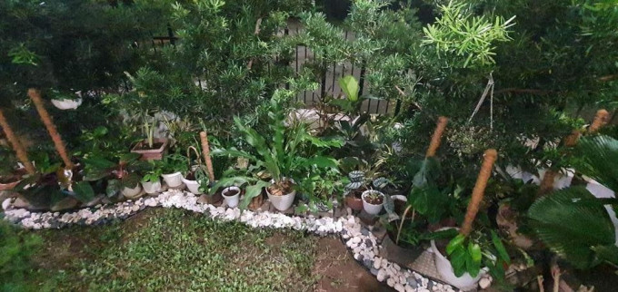 house and lot for sale