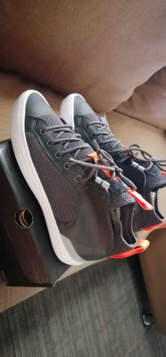 Converse Riding Sneakers