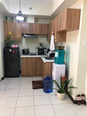 DMCI Homes Zinnia Condominium