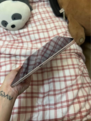 iPad Air 4th Gen Pink (64gb)