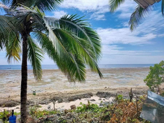 BEACHLOT IN BAGANGA