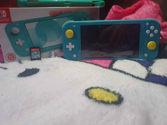 Nintendo switch lite