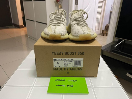 Yeezy Boost 350 V2 Light (US 4 MEN'S)