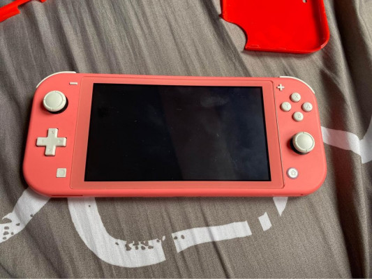 Nintendo switch lite