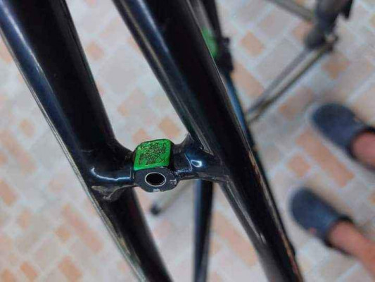 CINELLI Experience, Carbon Fork (FRAMESET)