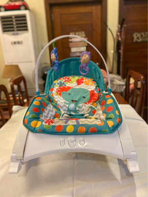 NEW BORN TODDLER ROCKER BABY COMPANY