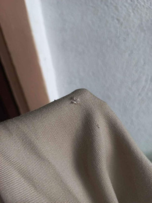 DICKIES L0NGSLEEVE KHAKI / 21x30