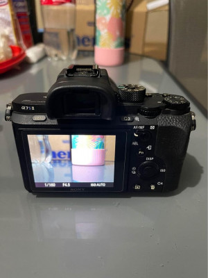 Sony a7sii with FE 28-70mm