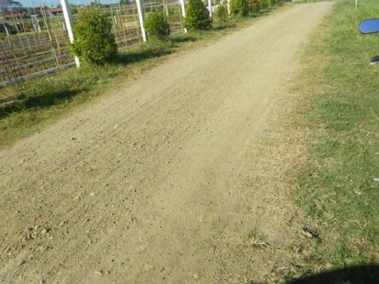 Lot - Bustos, Bulacan