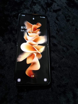 Samsung Z Flip 3 5G