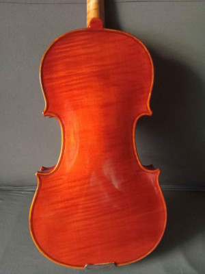 Old Unlabeled Violin