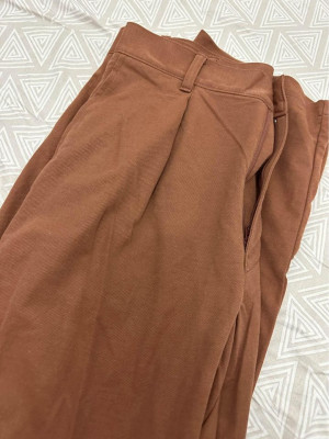 Uniqlo Pleated Trouser