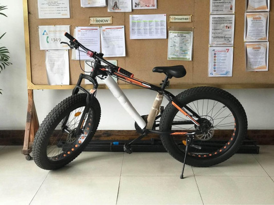 Viper Boost 4.0 Fat Bike