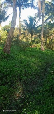 Lot - Lucban, Quezon