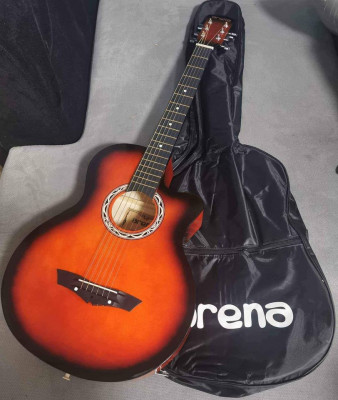 Arena acoustic guitar
