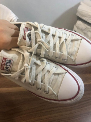 converse ( 24.5 CM)