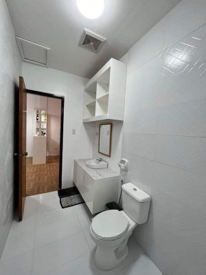 Brand New Two Storey  House & Lot with Pool for Sale