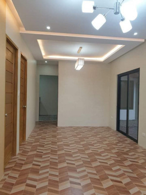 Brand New Modern House