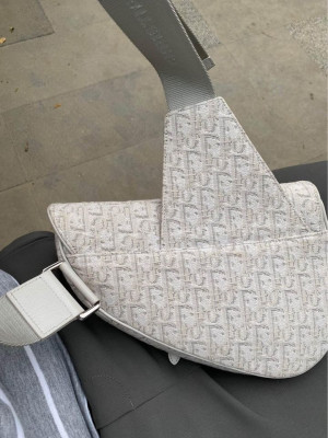 Dior Saddle Mens Bag Rush