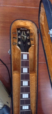 Guitar w/ hardcase & amplifier