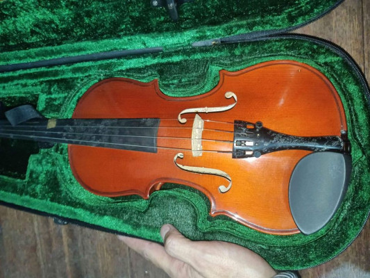Violin