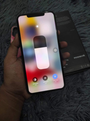 IPhone 11 Promax 64gb Globelocked