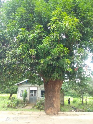 Lot - Tanay, Rizal