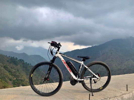 e-mtb ebike | bafang 48v 750w mid drive