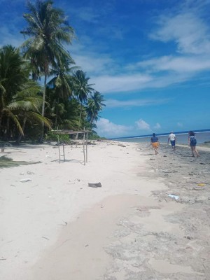 Beach lot and beach line