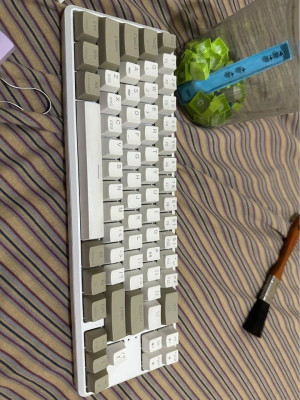 Rakk Pluma Mechanical Keyboard