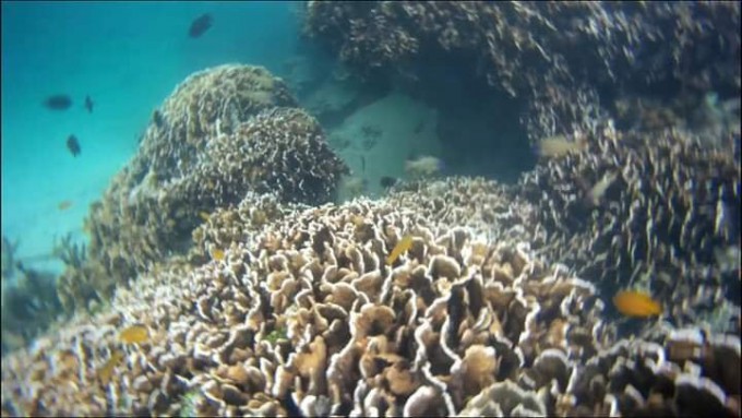 CALATAGAN LITTLE BORACAY & Sand bar