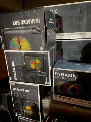 Brudo 1740/1709 Karaoke Speaker