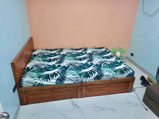 Bed Frame (queen and full)