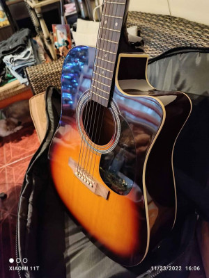 Acoustic Guitar (SX custom guitar) high end