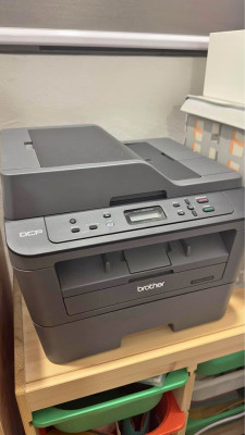 Brother B&W Laser Printer