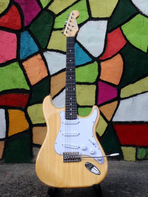 ELECTRIC GUITAR (STRATOCASTER) WITH FREEBIES