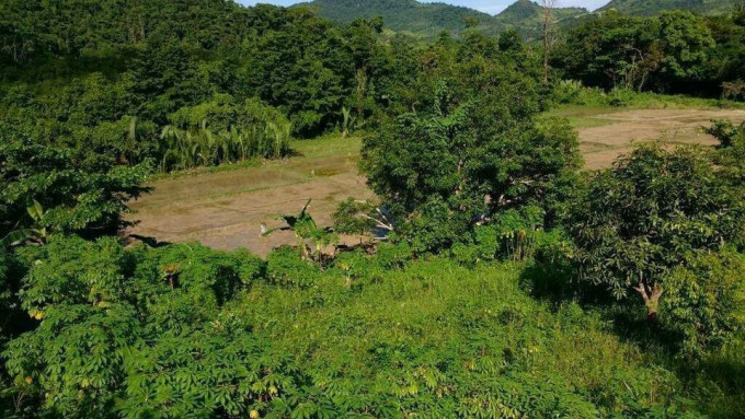 Organic Farm For Sale