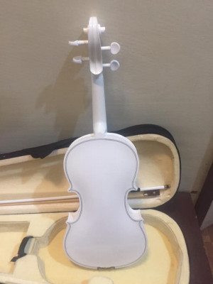 Violin