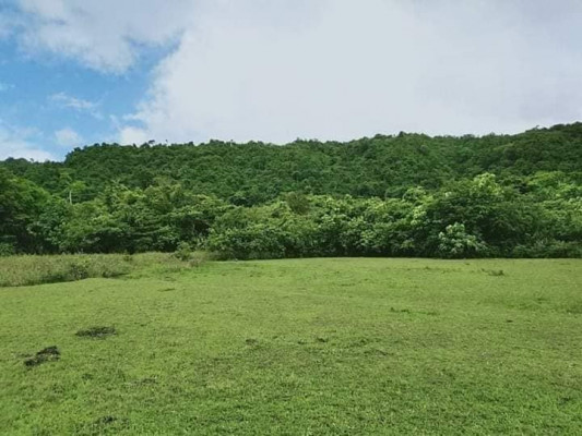 Lot for sale with falls and sapa