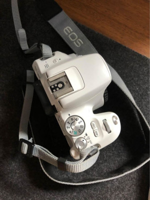 Canon EOS 200D White (no lens)