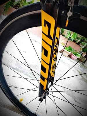 GIANT PROPEL allux slr black & yellow