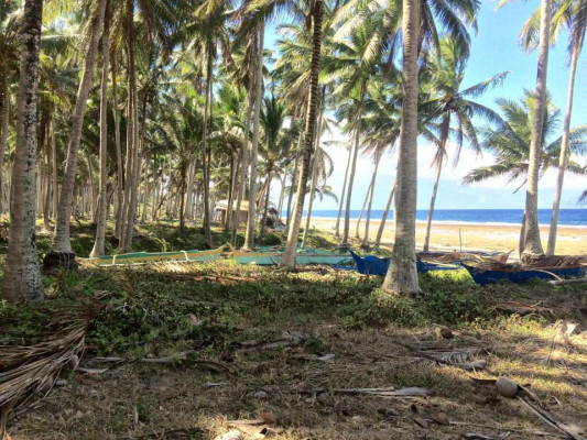 4.6 HECTARES MATI BEACHFRONT PROPERTY FOR SALE‼️ PLUS ROAD RIGHT OF WAY