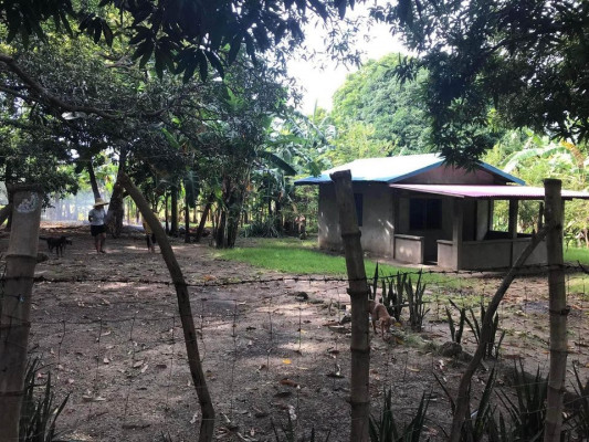 FARM WITH BUNGALOW HOUSE