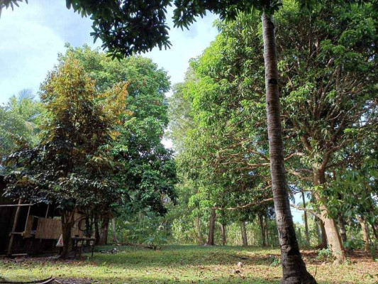 Package Deal All In 1