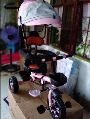 Stroller Bike