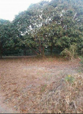 Lot - Calatagan, Batangas