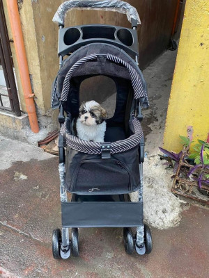 brand new pet stroller