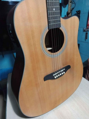 For Sale! SQOE Guitars Slick 310CEQ Acoustic Guitar