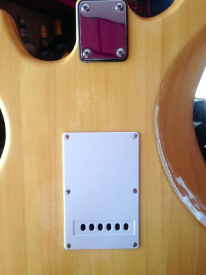 ELECTRIC GUITAR (STRATOCASTER) WITH FREEBIES